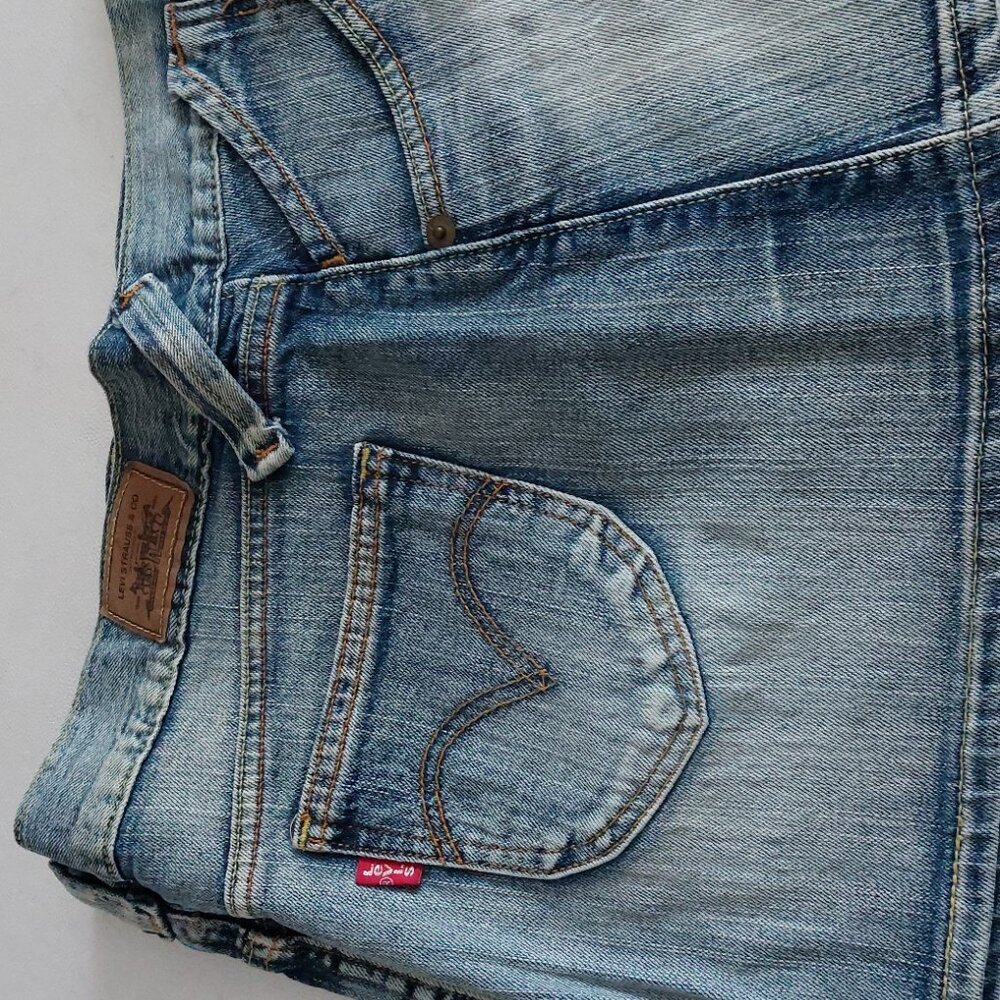 Levis skirt
